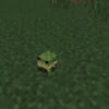 swampguds